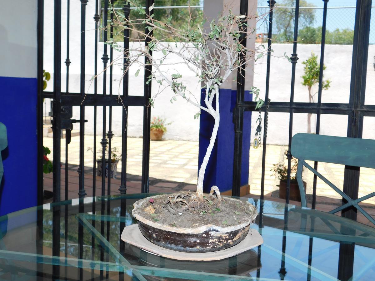 Casa Erizo 39 (Adults Only) Hotell Guanajuato Eksteriør bilde