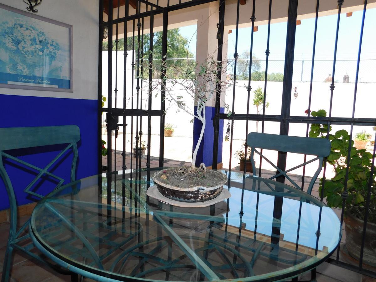 Casa Erizo 39 (Adults Only) Hotell Guanajuato Eksteriør bilde